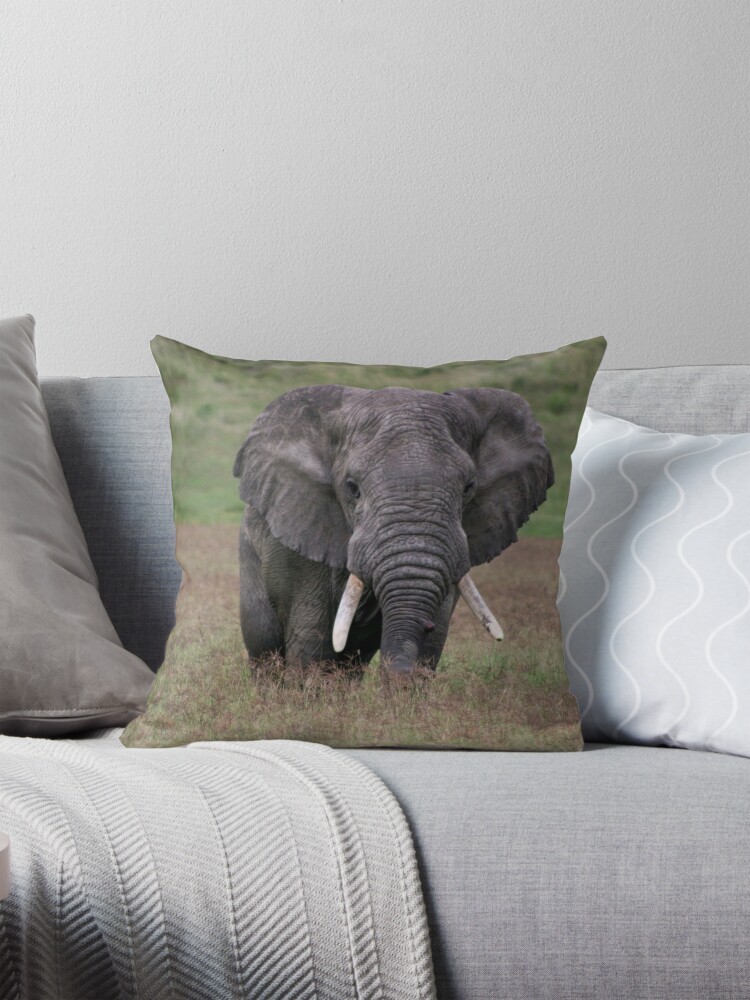 Thumbnail 1 of 4, Pillow, Elephant designed and sold by blackmamba5.