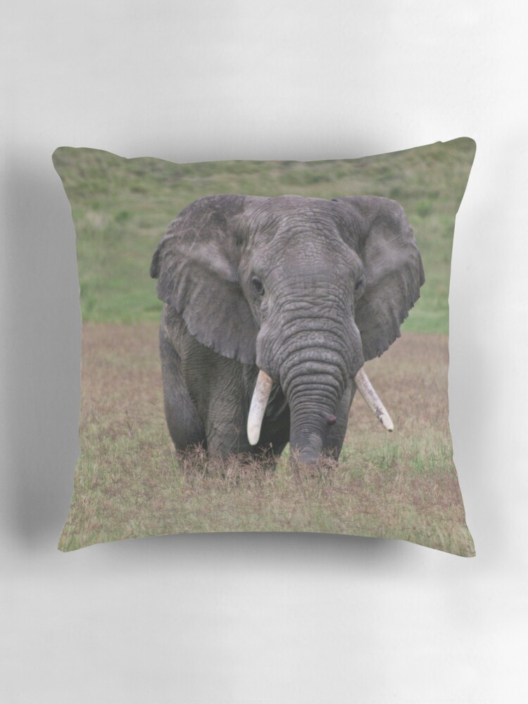 Thumbnail 3 of 4, Pillow, Elephant designed and sold by blackmamba5.