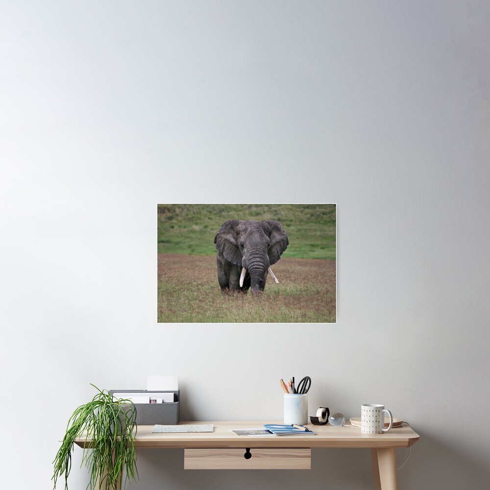 Item preview, Poster designed and sold by blackmamba5.