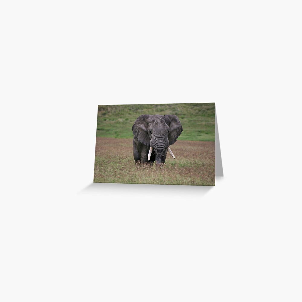 Item preview, Greeting Card designed and sold by blackmamba5.