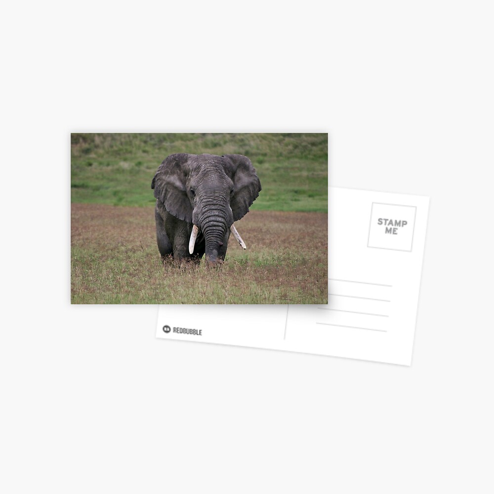 Item preview, Postcard designed and sold by blackmamba5.