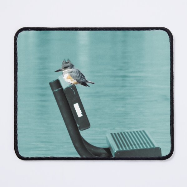 Item preview, Belted Kingfisher teal designed and sold by Millerstef.