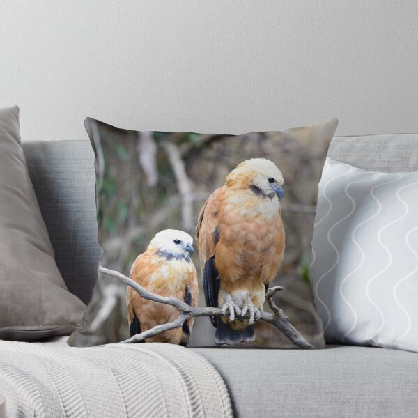 Item preview, Black-collared Hawks designed and sold by Tristan Barrington Photography.