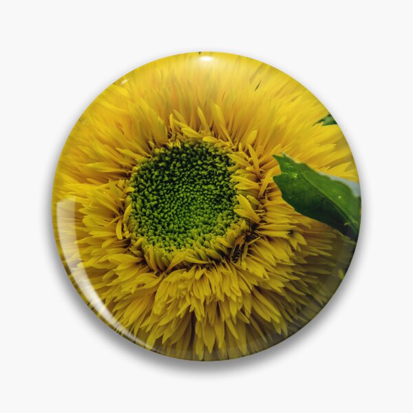 Item preview, Sunflower Close designed and sold by barkeypf.