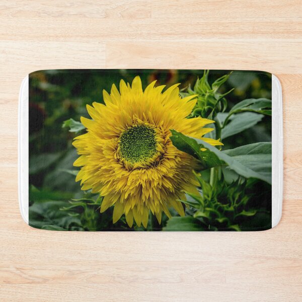 Item preview, Sunflower Close designed and sold by barkeypf.