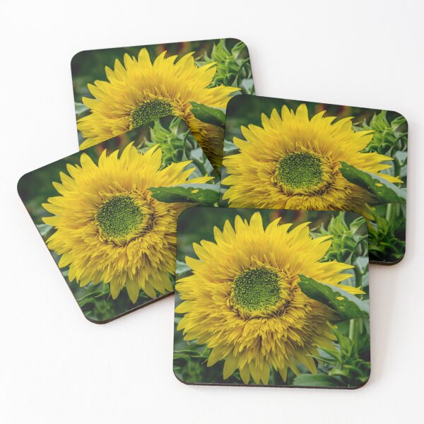 Item preview, Sunflower Close designed and sold by barkeypf.