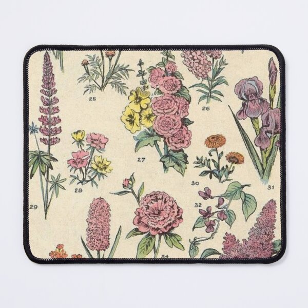 Item preview, vintage flower diagram designed and sold by Freshfroot.