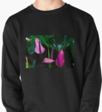 Pink Anthuriums Pullover
