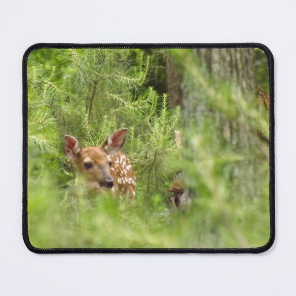 Item preview, Forest Fawn designed and sold by Millerstef.