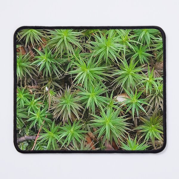 Item preview, Green Common Haircap Moss  designed and sold by DesignMore21.