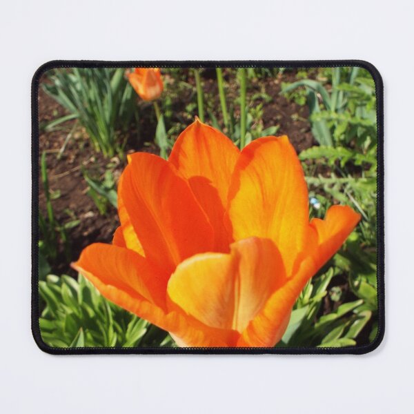 Item preview, Tulip designed and sold by TatianaAn.