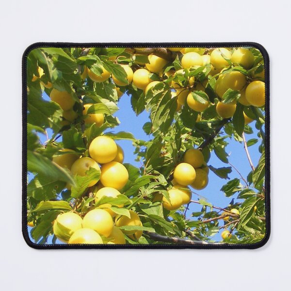 Item preview, yellow plum designed and sold by TatianaAn.