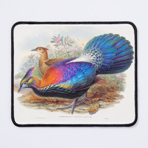 Item preview, National bird of Nepal, Himalayan monal  Himalayan monal - Impeyan monal - monal designed and sold by TeeARTHY.
