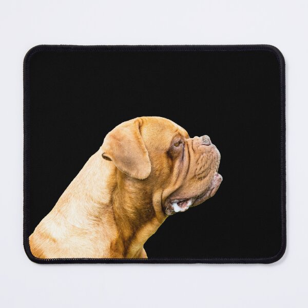 Item preview, The Dogue de Bordeaux designed and sold by Paul Thompson Photography.