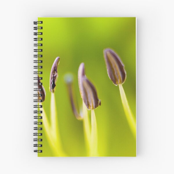 Item preview, Stamen designed and sold by Tristan Barrington Photography.