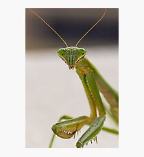 Wassup! Photographic Print
