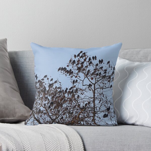 Item preview, The Birds. designed and sold by Paul Pasco.