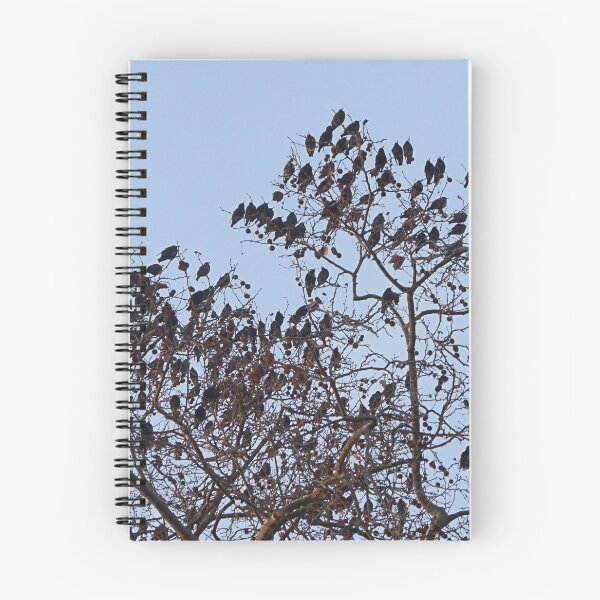 Item preview, The Birds. designed and sold by Paul Pasco.