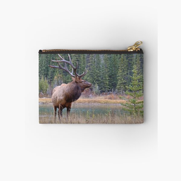 Artikelvorschau, Netter Stier entlang des Bogens entworfen und verkauft von James (820Photography) Anderson.