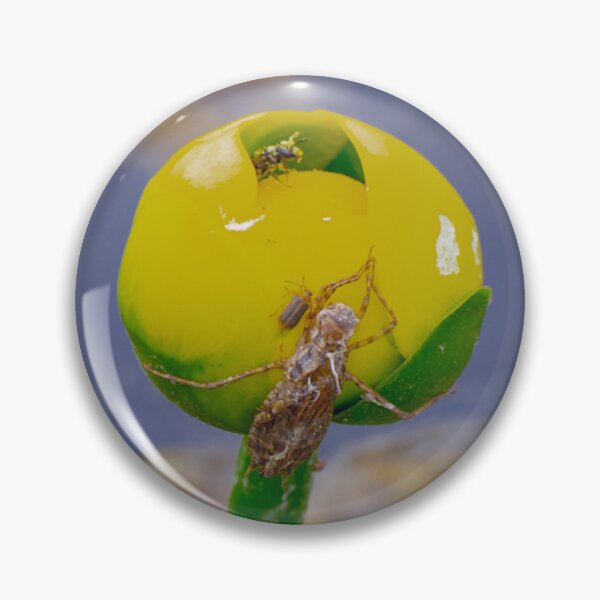 Item preview, Lollipop bonanza designed and sold by Dead-Moroz.