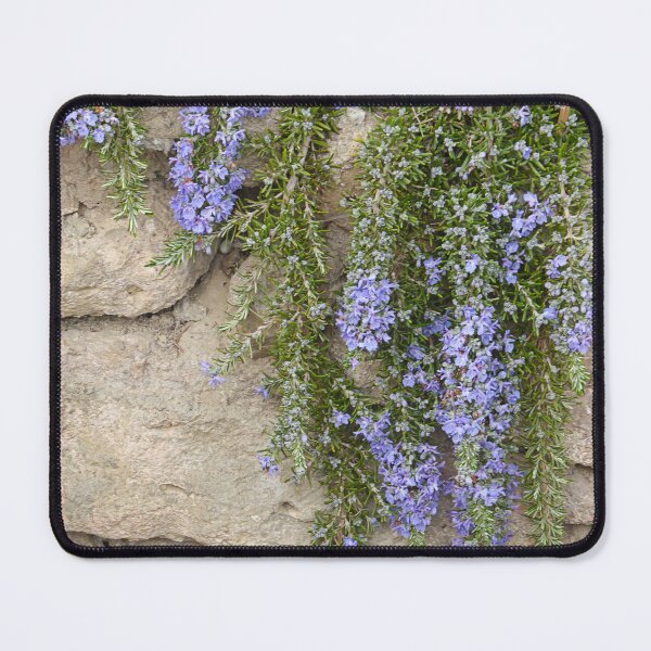 Item preview, Flowering rosemary. designed and sold by Paul Pasco.