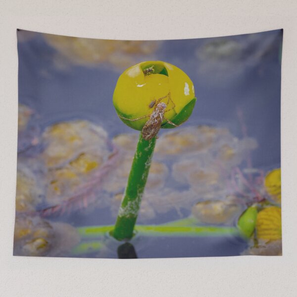 Item preview, Lollipop bonanza designed and sold by Dead-Moroz.