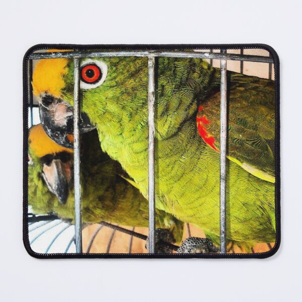 Item preview, Caribbean Parrot - Animals designed and sold by JMPrint.