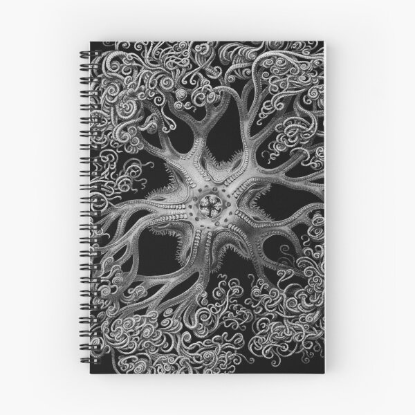 Item preview, Jellyfish Octopus Squid Kraken Art Tentacles Seashell Haeckel Deep Sea Ocean Creatures Lover designed and sold by Mechanical Whispers.