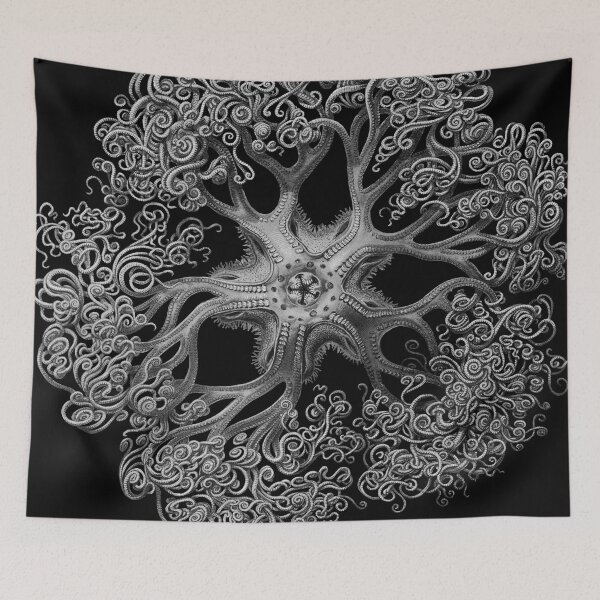 Item preview, Jellyfish Octopus Squid Kraken Art Tentacles Seashell Haeckel Deep Sea Ocean Creatures Lover designed and sold by Mechanical Whispers.