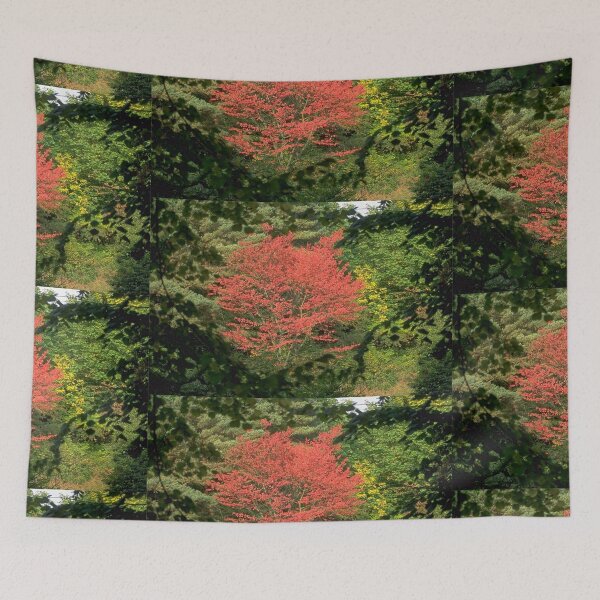 Item preview, Show Off designed and sold by DayColors.