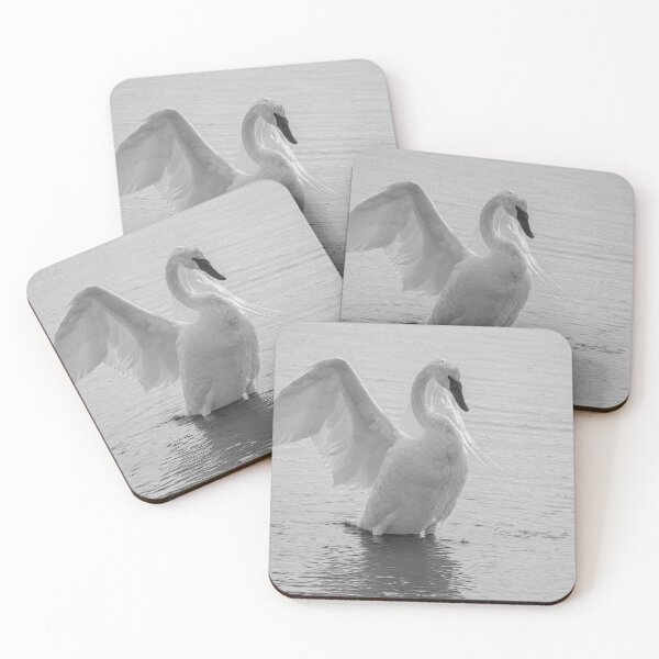 Item preview, A swan surviving the Winter of Minnesota - designed and sold by FelCastro.