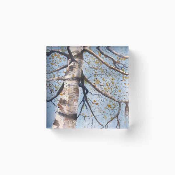 Fall Beech Tree Acrylic Block