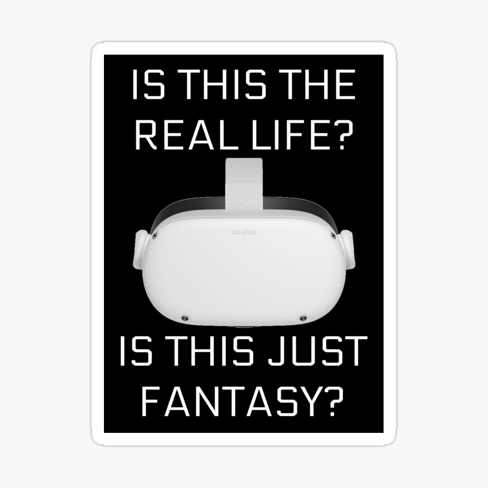 Is This the Real Life? Is this Just Fantasy? Oculus Quest Meta Quest Socks