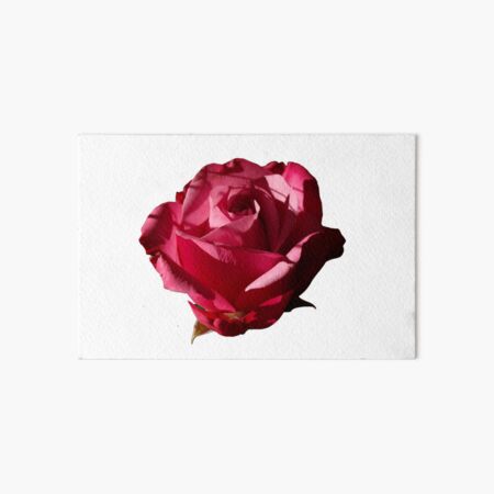 A rose is a rose Art Board Print