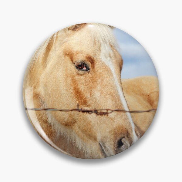 Item preview, Curious Horse designed and sold by Ettenhuber.