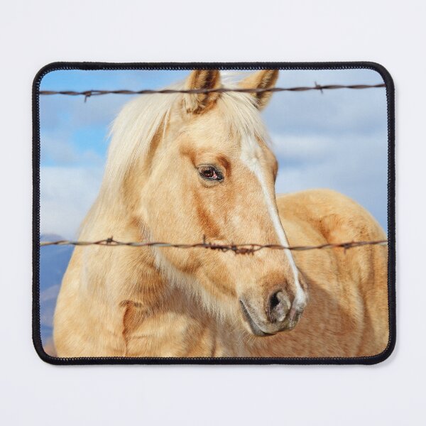 Item preview, Curious Horse designed and sold by Ettenhuber.