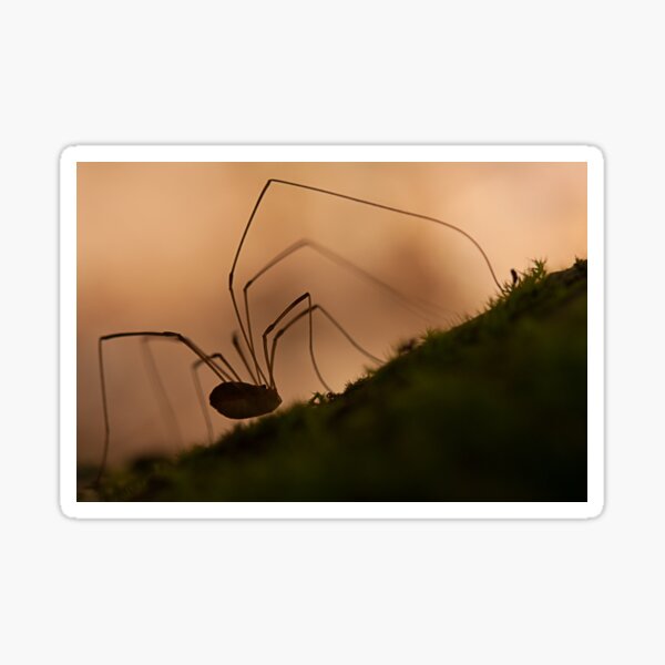 Item preview, creepy silhouette designed and sold by Manon Boily.
