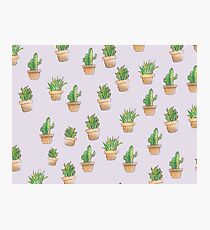 Lámina fotográfica cactus