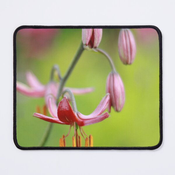 Item preview, Lovely lillies designed and sold by miradorpictures.