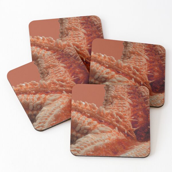 Item preview, Macro of a Dried Starfish designed and sold by MelBolin.