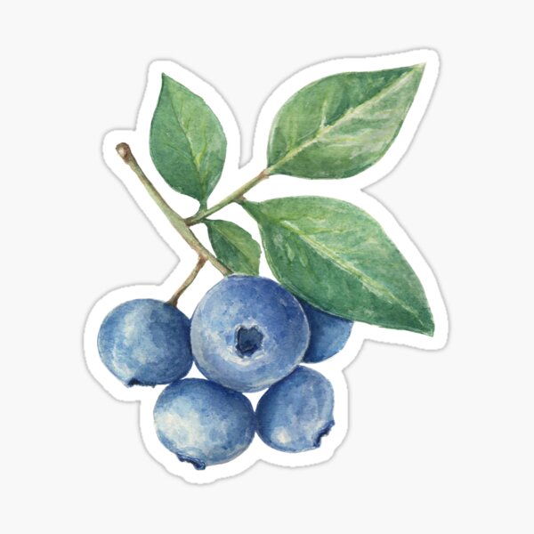 Blueberries Stickers for Sale