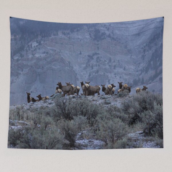 Item preview, 406 - Montana - 5AM Elk on the rise designed and sold by Gilby-Designs.