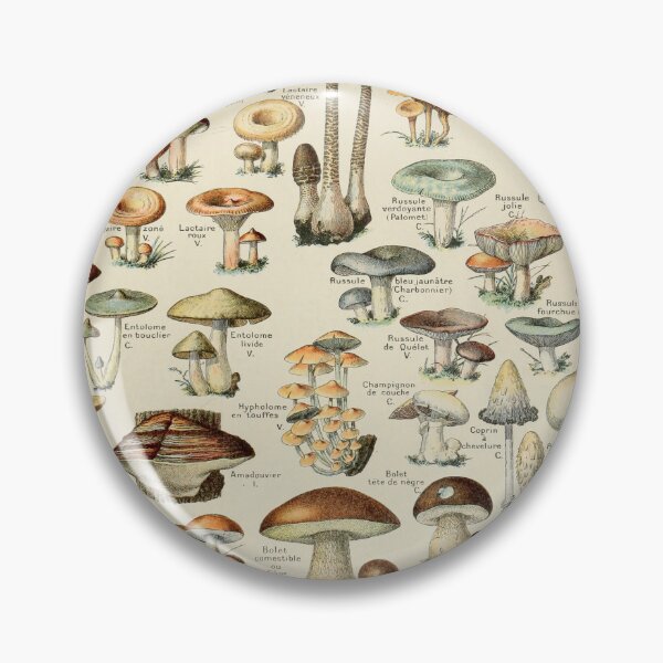 Item preview, Vintage Mushroom Chart - Adolphe Millot designed and sold by ind3finite.