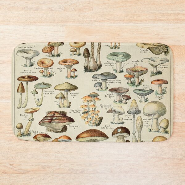 Item preview, Vintage Mushroom Chart - Adolphe Millot designed and sold by ind3finite.