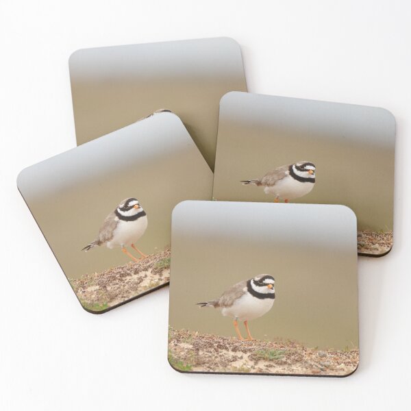 Item preview, Little ringed plover designed and sold by miradorpictures.