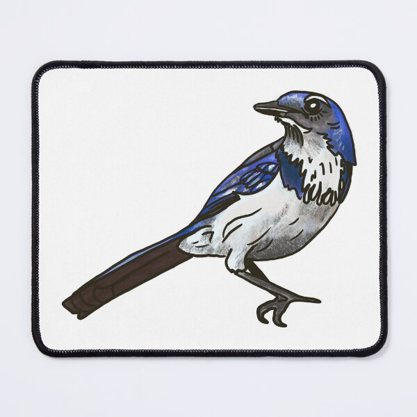 Item preview, California Scrub Jay  designed and sold by Allison Campbell.