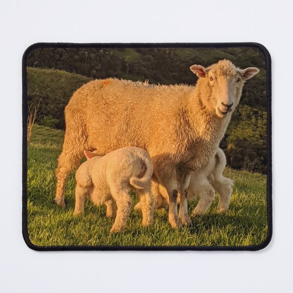 Item preview, Twins! Sheep in New Zealand designed and sold by FantailDA.
