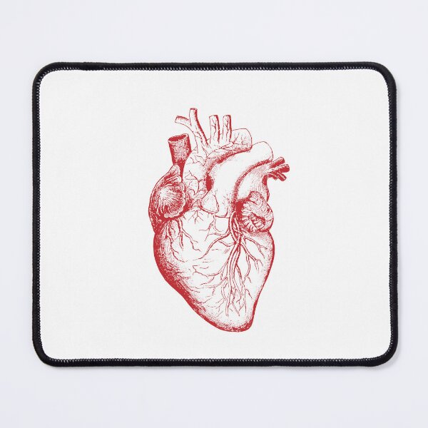 Item preview, Anatomical heart | Illustration | My heart will go on designed and sold by Pulpman.
