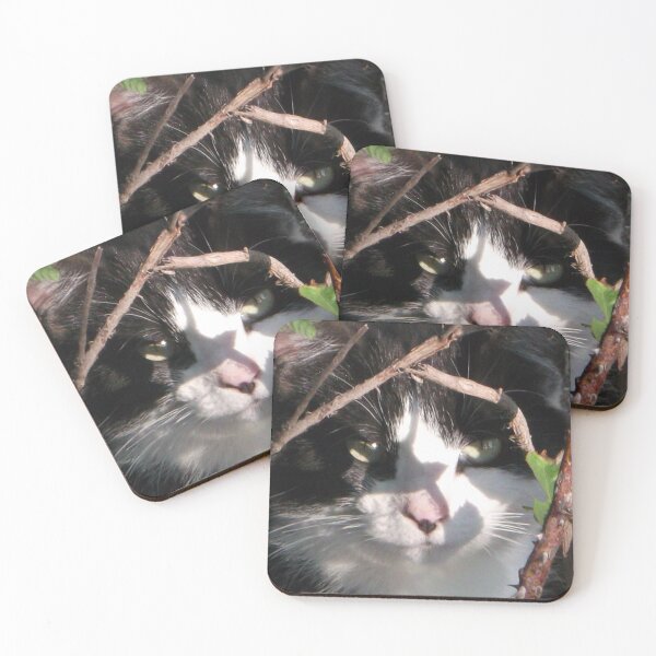 Item preview, Hiding Kitty designed and sold by Krystina Starks.