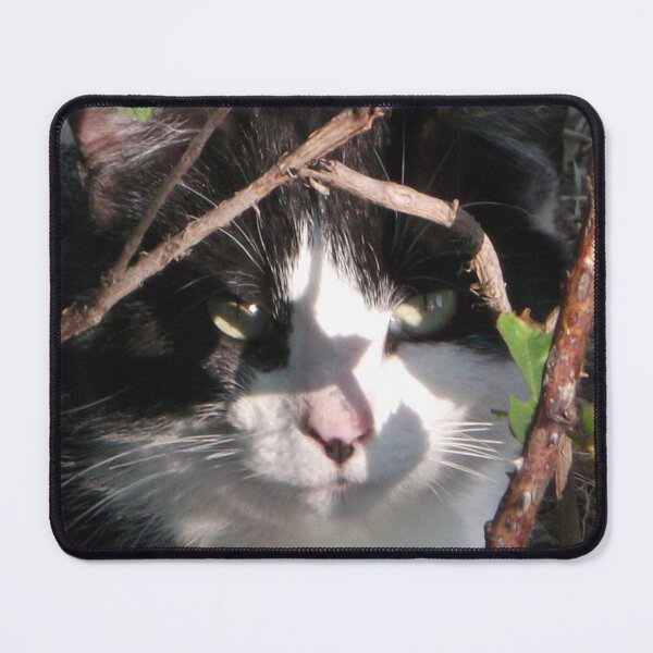 Item preview, Hiding Kitty designed and sold by Krystina Starks.